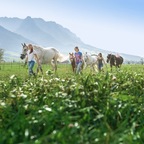 Sattelt die Pferde, wir reiten in die Berge